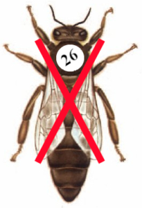 queen_sign_nok_white1
